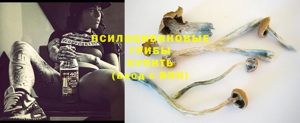 дживик Краснотурьинск