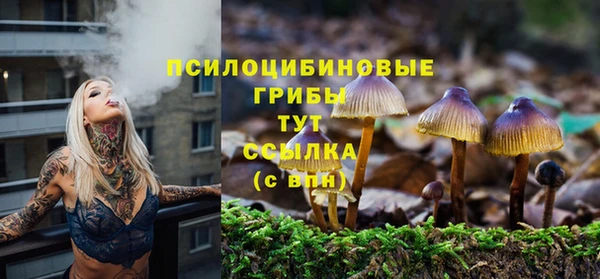 мескалин Краснослободск
