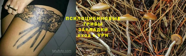 дживик Краснотурьинск