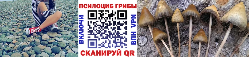 Псилоцибиновые грибы ЛСД  Купить где  Саяногорск 